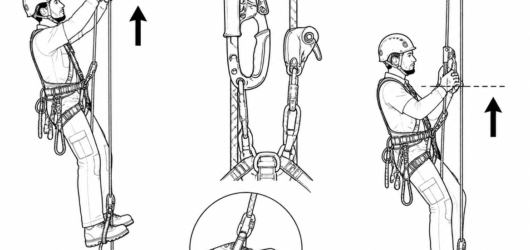 Calibration check: at full extension the handled ascender should sit around forehead height with straight arms. Chest height means the foot loop is to