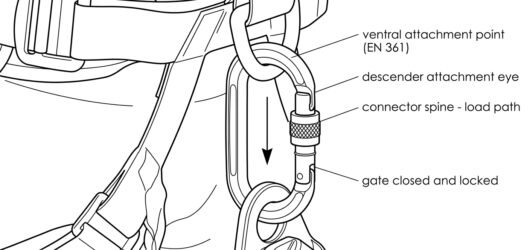 Line diagram of a locking connector joining a descender's attachment eye to a harness ventral attachment point, loaded along its major axis with the g