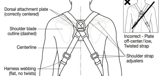 Rear view diagram of a harness dorsal attachment point centred between the shoulder blades with flat untwisted webbing, plus an inset showing an off-c