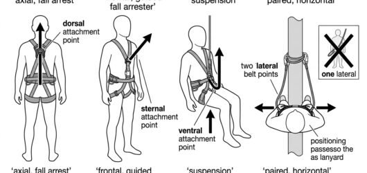 Diagram comparing tested loading directions for dorsal, sternal, ventral and paired lateral harness attachment points