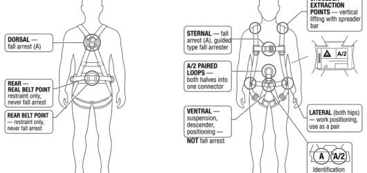 Front and rear views of a combination full body harness with every attachment point labelled by its certified function: dorsal and sternal for fall ar