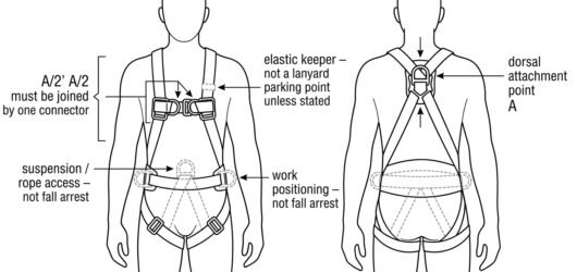 Front and back diagram of a full body harness showing the dorsal A point, paired A/2 chest loops, and the belt and ventral points that are not fall-ar