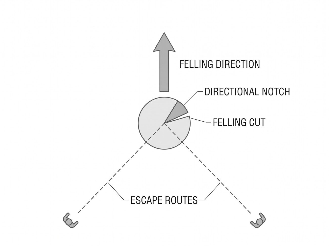 Simple line-art illustration of a tree with two diagonal escape route paths marked leading away from the anticipated felling direction on either side.