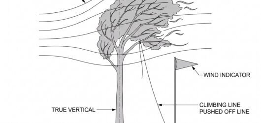 Simple line-art illustration of a tree canopy swaying in wind with a small wind-speed indicator flag beside it at ground level.
