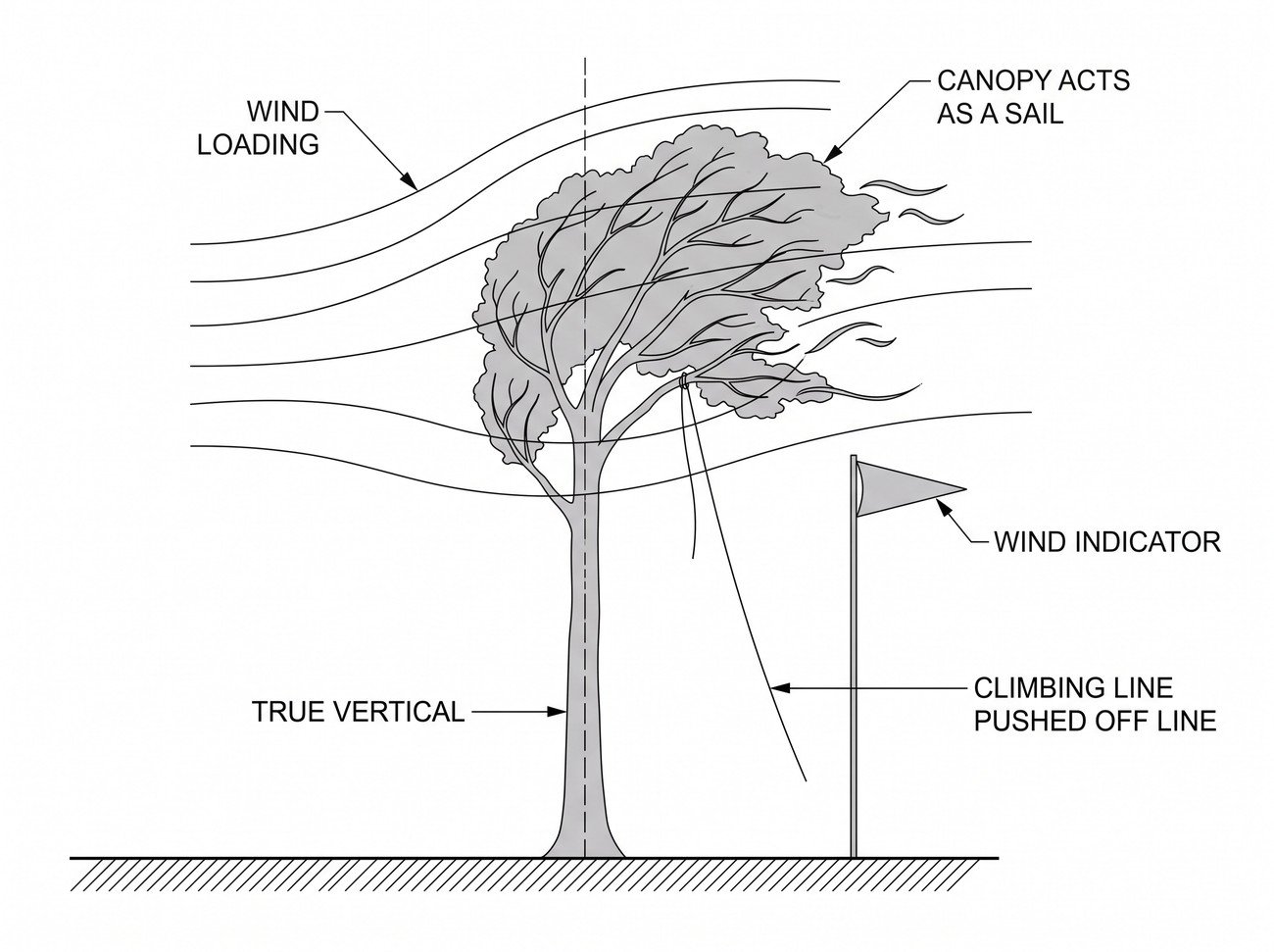 Simple line-art illustration of a tree canopy swaying in wind with a small wind-speed indicator flag beside it at ground level.